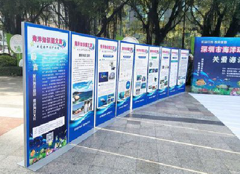 富源KT板的种类和知识。